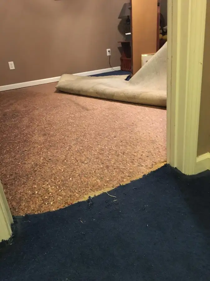 Carpet pad removal revealing water damage during Water Mitigation Services in Cornwall